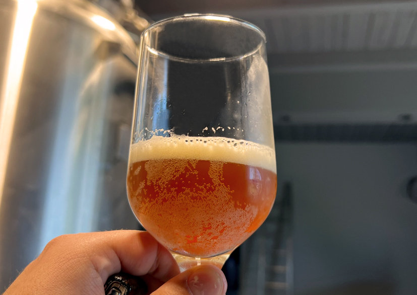 Pivo iz pivare Sova 021 Vrbas