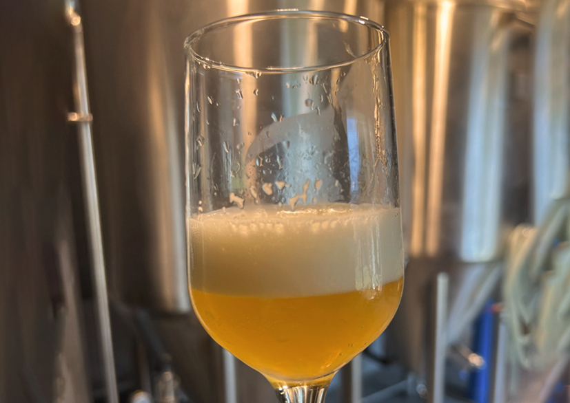 Bobot - sorte American Pale Ale | Vrbas, Vojvodina